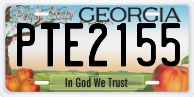GA license plate PTE2155