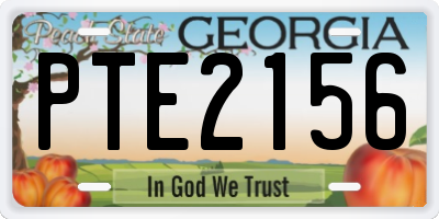 GA license plate PTE2156