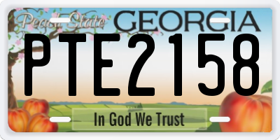 GA license plate PTE2158