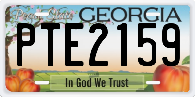 GA license plate PTE2159