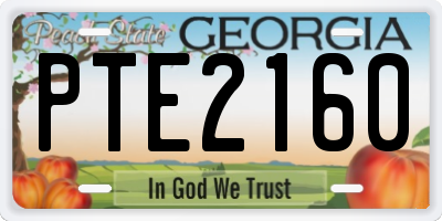 GA license plate PTE2160