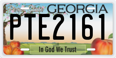 GA license plate PTE2161