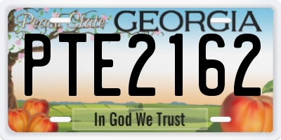 GA license plate PTE2162