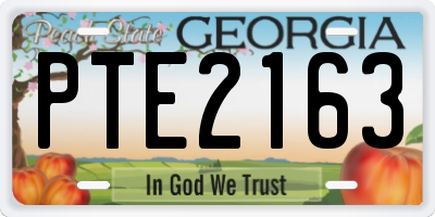 GA license plate PTE2163