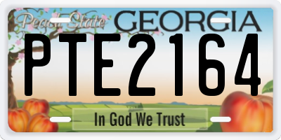GA license plate PTE2164