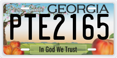 GA license plate PTE2165