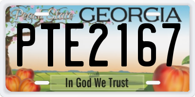 GA license plate PTE2167