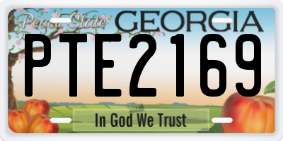GA license plate PTE2169