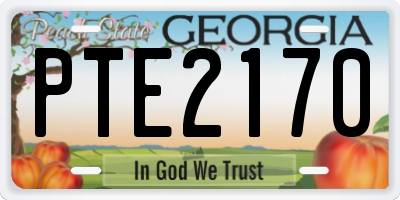 GA license plate PTE2170