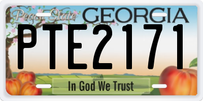 GA license plate PTE2171