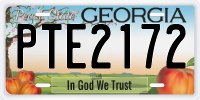 GA license plate PTE2172