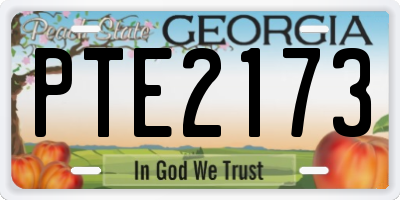 GA license plate PTE2173