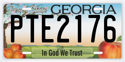 GA license plate PTE2176