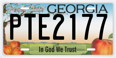 GA license plate PTE2177
