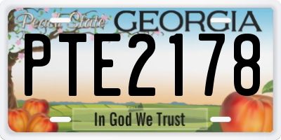 GA license plate PTE2178