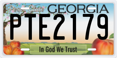 GA license plate PTE2179