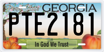 GA license plate PTE2181