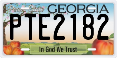 GA license plate PTE2182
