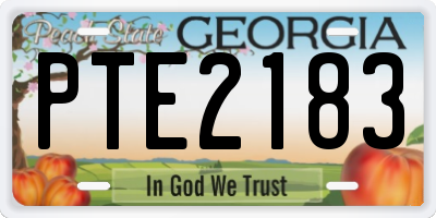 GA license plate PTE2183