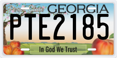 GA license plate PTE2185
