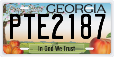GA license plate PTE2187