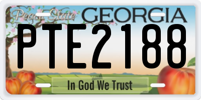 GA license plate PTE2188
