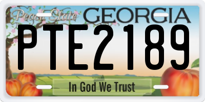 GA license plate PTE2189