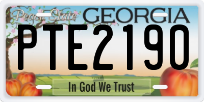 GA license plate PTE2190