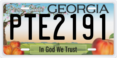 GA license plate PTE2191
