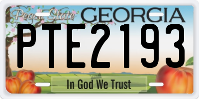 GA license plate PTE2193