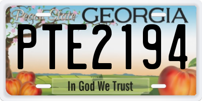 GA license plate PTE2194
