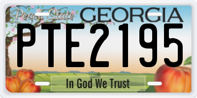 GA license plate PTE2195
