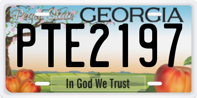 GA license plate PTE2197