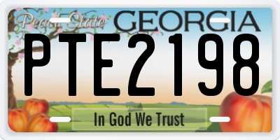 GA license plate PTE2198