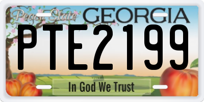 GA license plate PTE2199