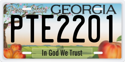 GA license plate PTE2201