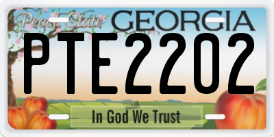GA license plate PTE2202