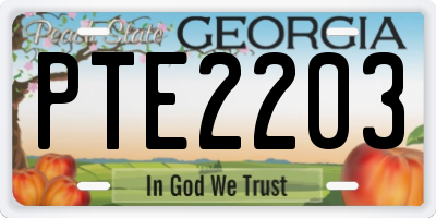 GA license plate PTE2203