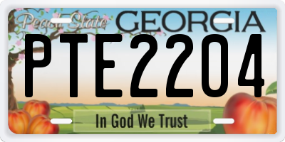 GA license plate PTE2204