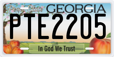 GA license plate PTE2205