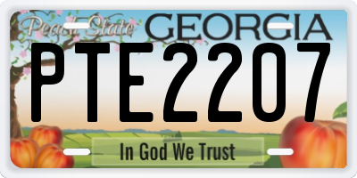 GA license plate PTE2207