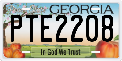 GA license plate PTE2208