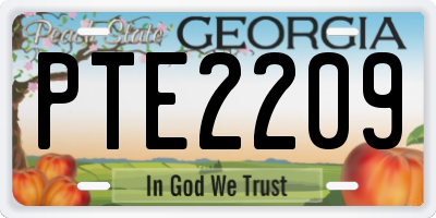 GA license plate PTE2209