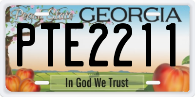 GA license plate PTE2211