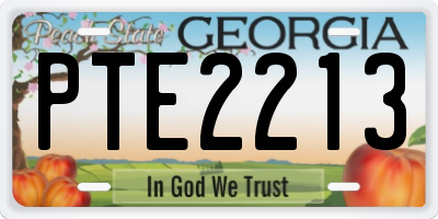 GA license plate PTE2213
