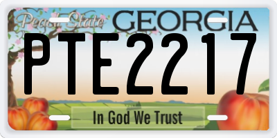 GA license plate PTE2217