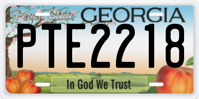 GA license plate PTE2218