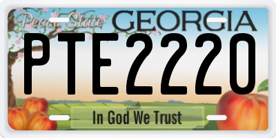 GA license plate PTE2220