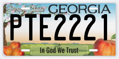 GA license plate PTE2221