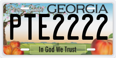 GA license plate PTE2222
